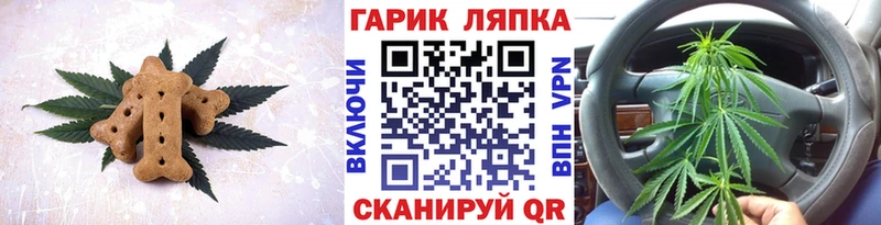 Купить закладки  Саров  Canna-Cookies конопля 