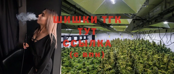 МДПВ Богородск