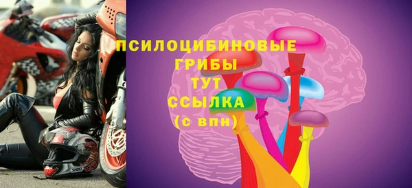 МДПВ Богородск