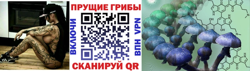 Галлюциногенные грибы Psilocybine cubensis  Купить  Саров 
